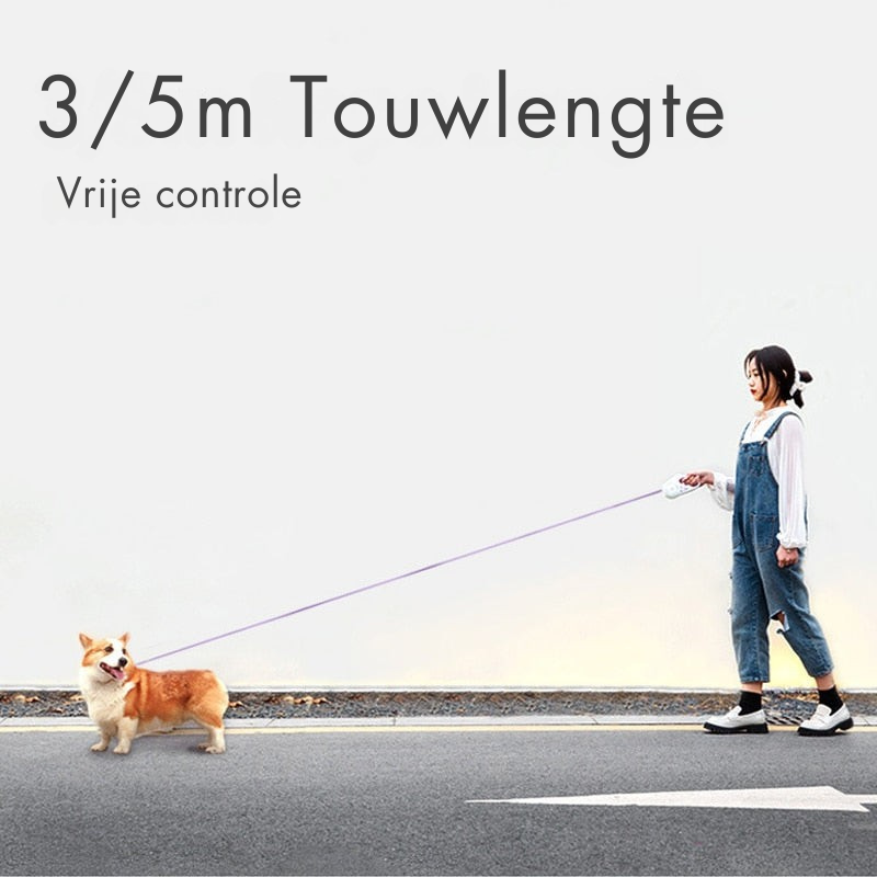 GlowLeash - Automatisch intrekbare hondenriem met ingebouwd licht en RGB streamerring