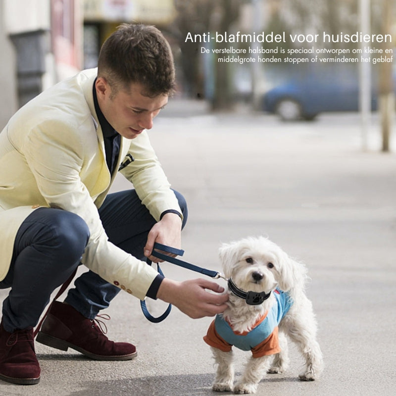 QuietPaws - Anti-blaf hondenhalsband met zachte trillingen en geluidscorrectie