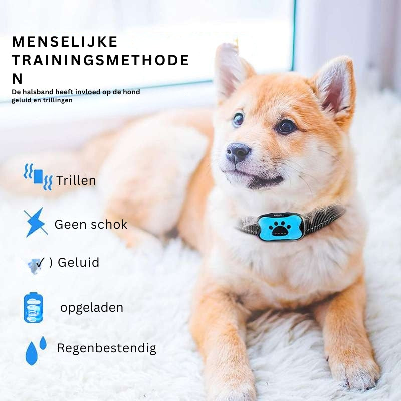 QuietPaws - Anti-blaf hondenhalsband met zachte trillingen en geluidscorrectie