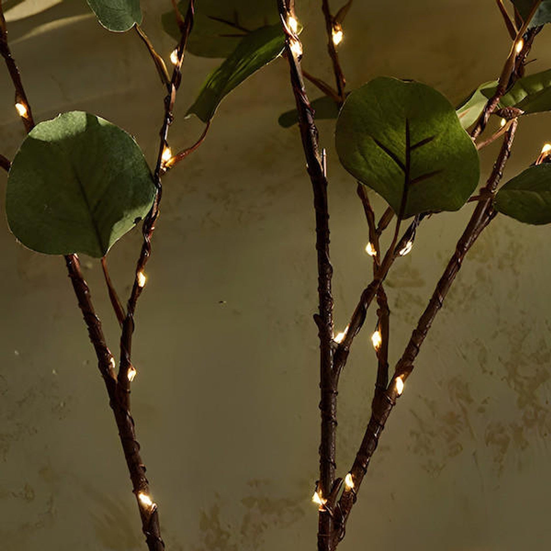 LumiVista - Olijftak-geïnspireerde LED-lichtsnoer voor magische en elegante decoratie