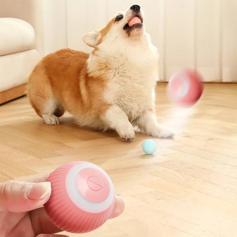 SmartPlay - Elektrische kattenspeelbal met slimme standen en eenvoudige oplaadindicatoren