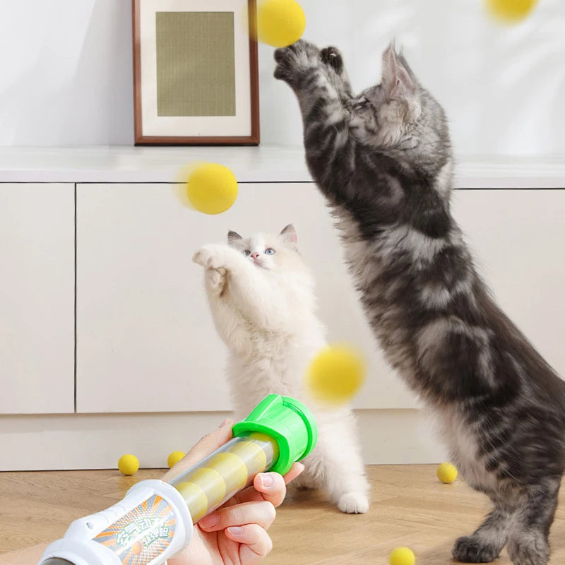 PetPlay - Interactief speelgoedpistool met 9 elastische ballen voor honden en katten