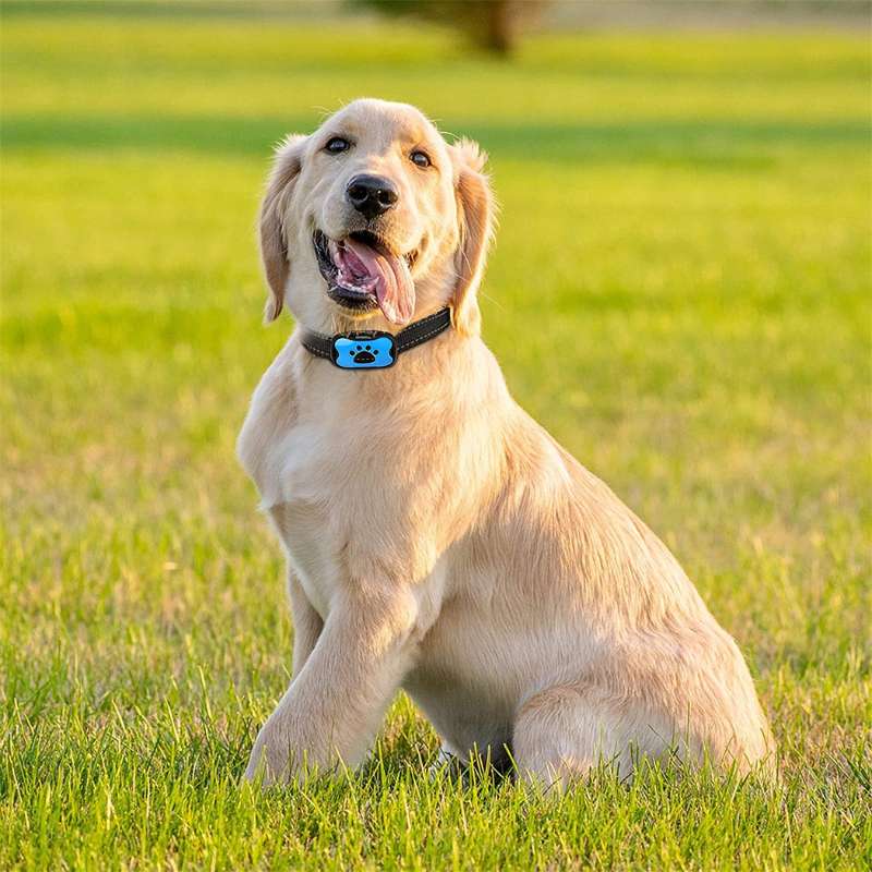 QuietPaws - Anti-blaf hondenhalsband met zachte trillingen en geluidscorrectie