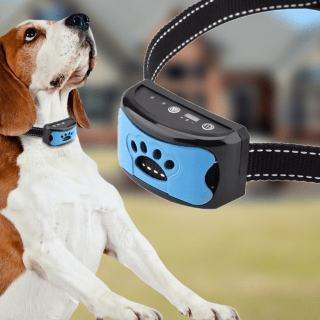 QuietPaws - Anti-blaf hondenhalsband met zachte trillingen en geluidscorrectie