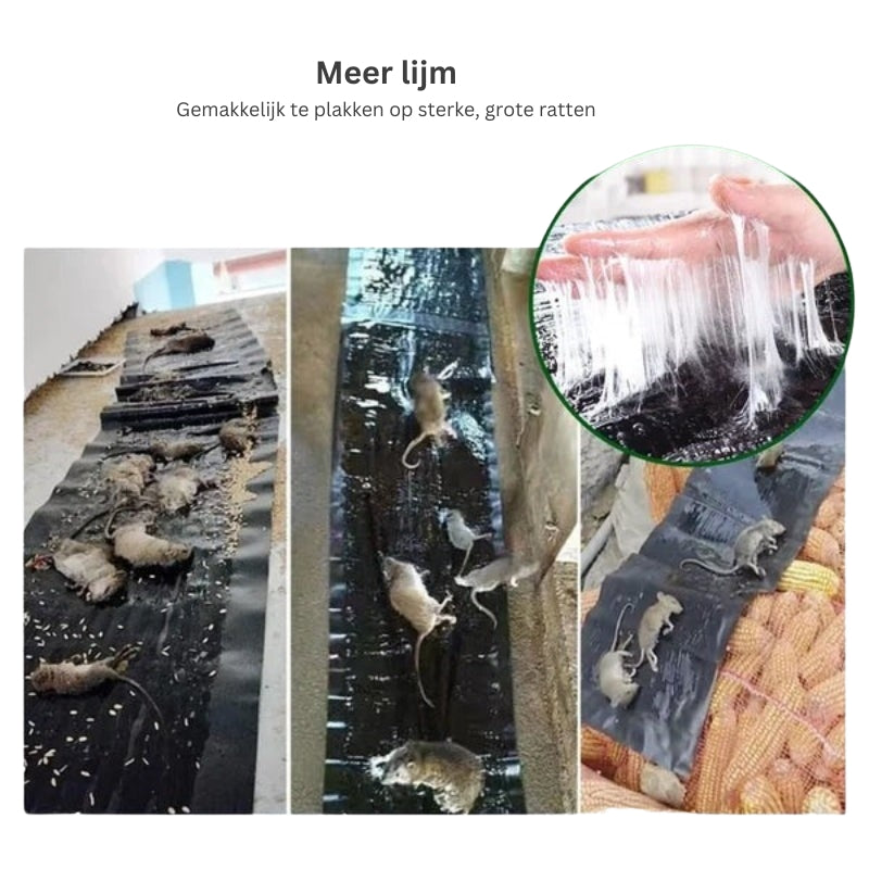 CatchGuard - Sterke zelfklevende val voor ratten, muizen en kruipende insecten voor snelle bestrijding