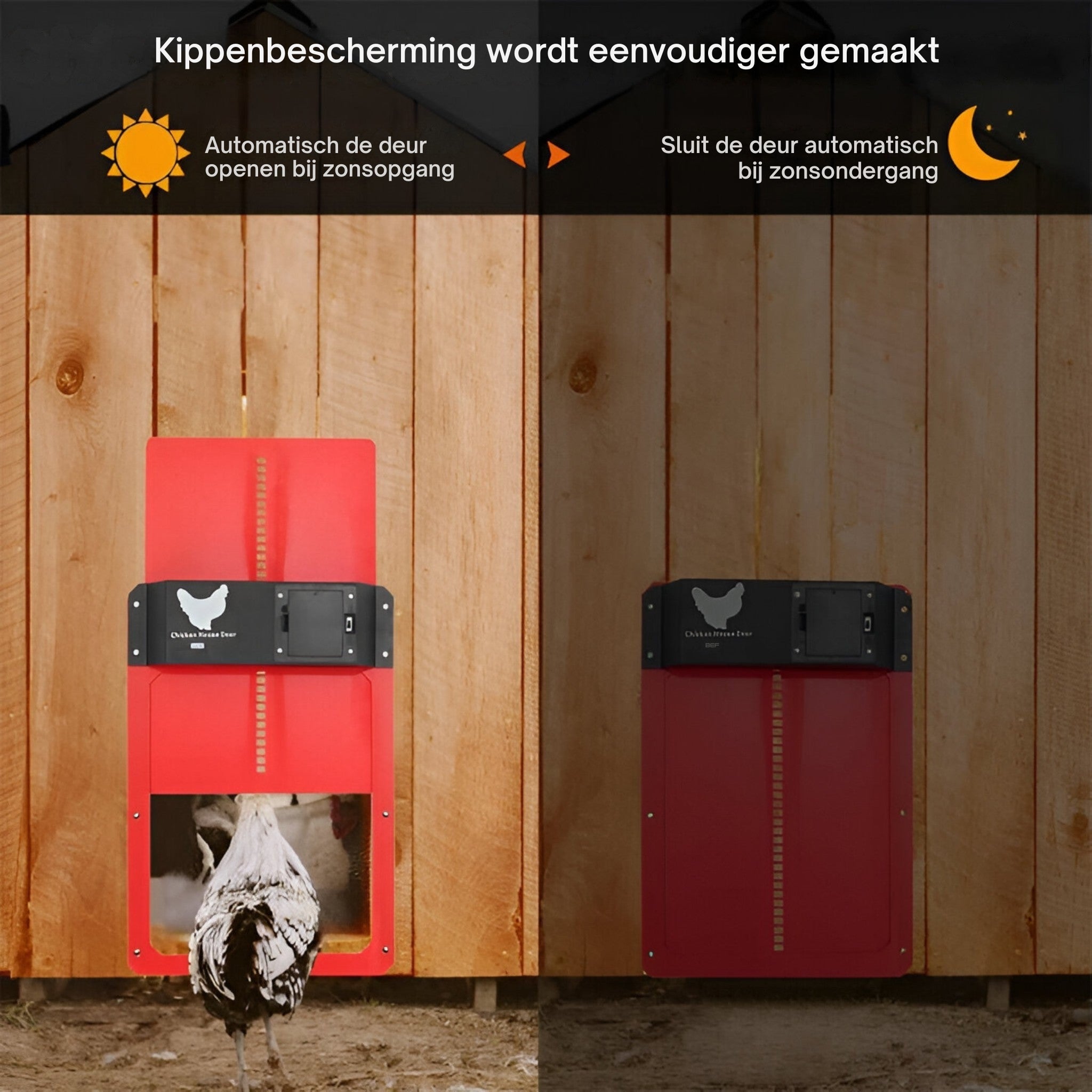 AutoRoost - Automatische kippendeur met weerbestendig ontwerp en eenvoudige installatie