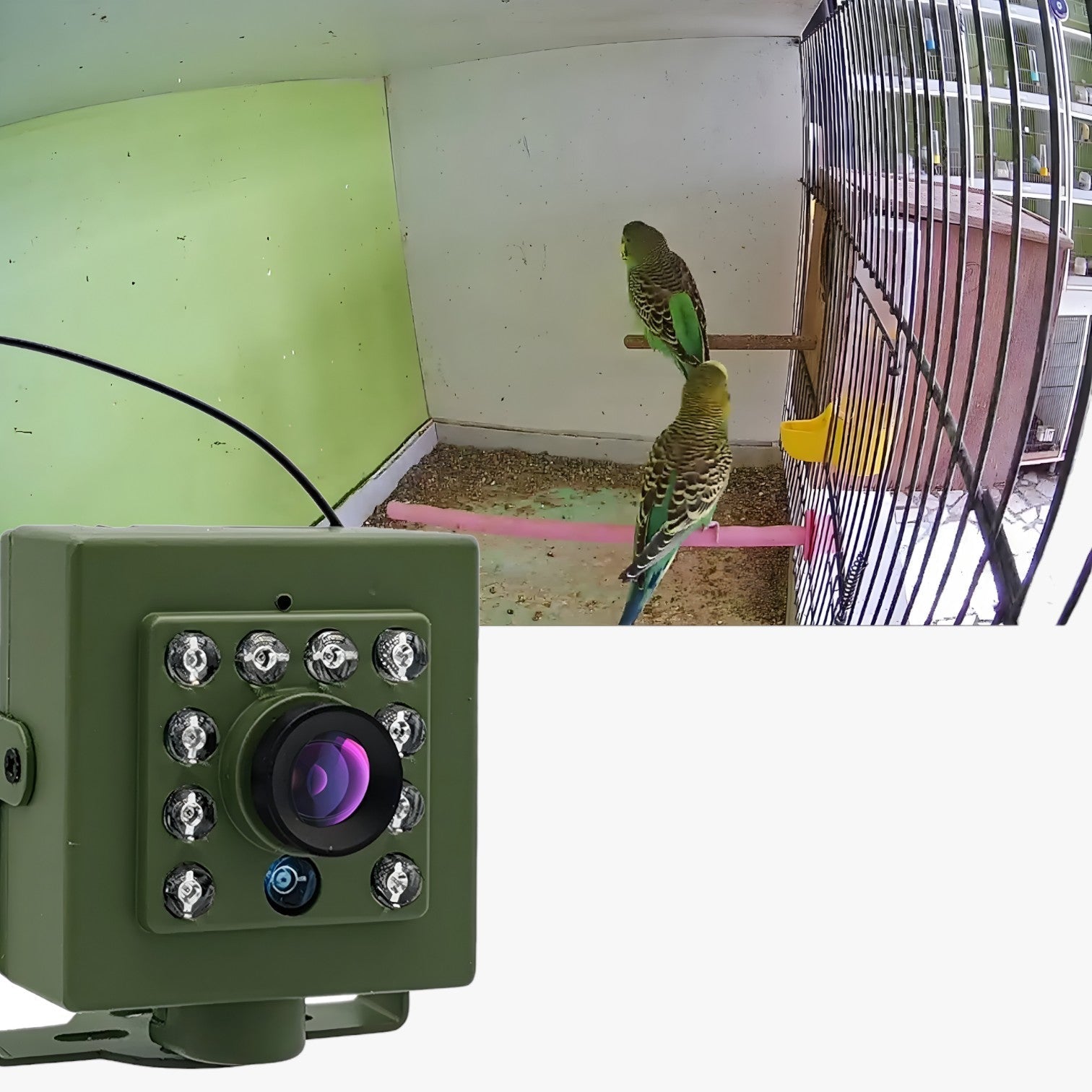 FeatherView – Slimme WiFi-camera voor helder nachtzicht en realtime vogelgeluiden