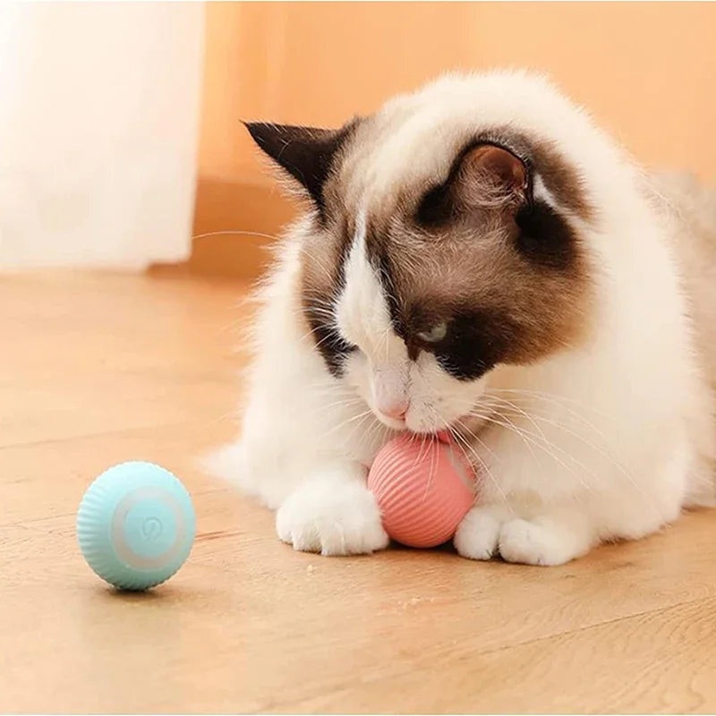 SmartPlay - Elektrische kattenspeelbal met slimme standen en eenvoudige oplaadindicatoren